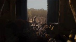 Papa no se reúne con Russell Crowe y realizadores de Noé Papa no se reúne con Russell Crowe y realizadores de Noé