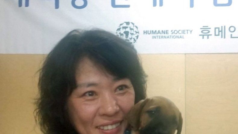 Corea del Sur entrega primeros perros en adopción para dejar de comerlos