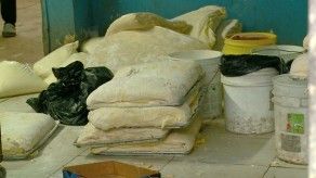 Encuentra roedores, cucarachas y gatos durante operativo de salud en Curundú