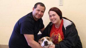 Recuperan perro desaparecido en supertormenta