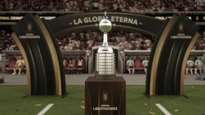 Copa Libertadores&nbsp;