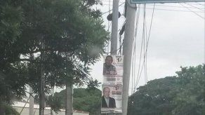 Camión derriba poste eléctrico en Ave. Frangipani