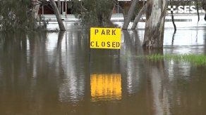 Inundaciones arrasan casas y vehículos en poblado australiano