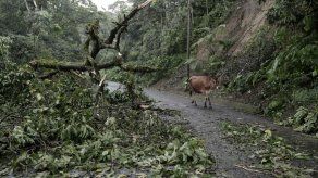 Sube a cuatro la cifra de muertes por un frente frío en Costa Rica