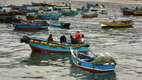 Movimiento de Pesca Artesanal rechaza acciones que atentan contra la seguridad alimentaria