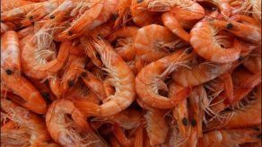 Aumenta déficit comercial de El Salvador