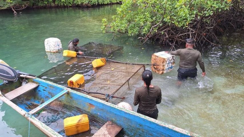MiAmbiente ordena cierre temporal de Isla Escudo de Veraguas
