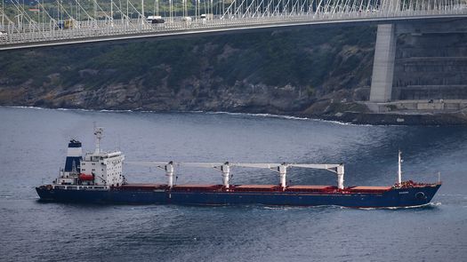 La causa del retraso no estaba clara en un primer momento, y Marine Traffic, que supervisa el tráfico marítimo y la ubicación de los barcos en el mar, mostraba al Razoni, un carguero con bandera de Sierra Leona, anclado en el Mar Mediterráneo cerca de Turquía.