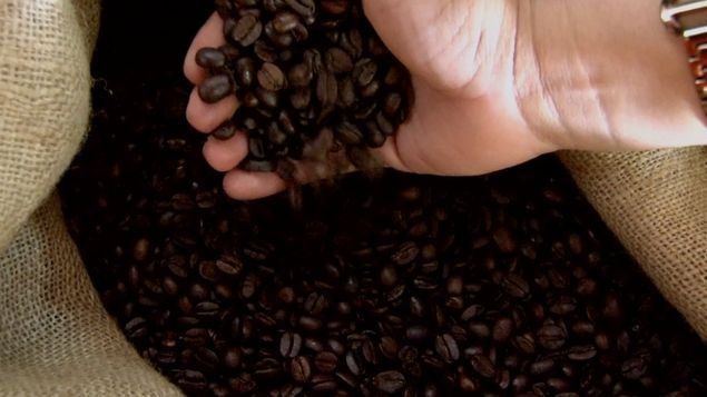 Café geisha natural panameño marca récord en cata de cara a subasta
