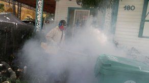 Florida contrata compañías de control de plagas contra zika