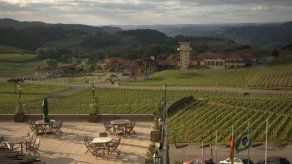 Brasil: El vino se junta con la samba para aumentar popularidad