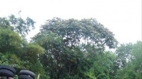 Camión se vuelca en Corredor Norte hacia Colón