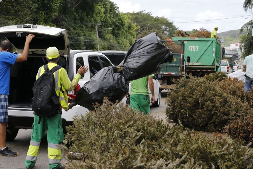 Uno de los puntos de recolección estará ubicado en la Cinta Costera.