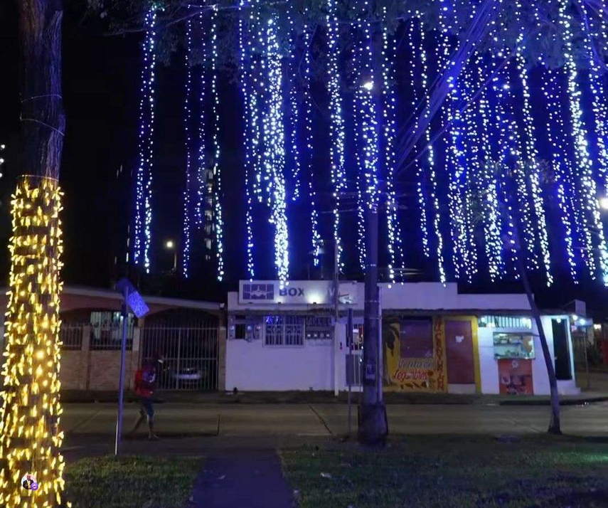 Encendido de navideño de la Alcaldía de Panamá.