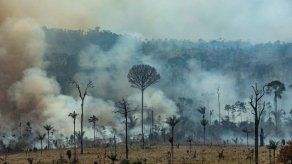 Incendios en Brasil continúan en aumento a pesar de prohibición