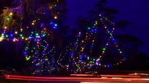 Guatemala: Se electrocutan 5 jóvenes al decorar árbol