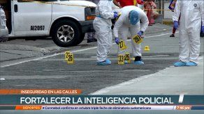 Señalan necesidad de mejores estrategias de seguridad