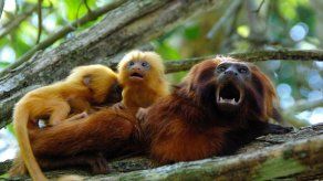 AP - CHRISTINA LARSON