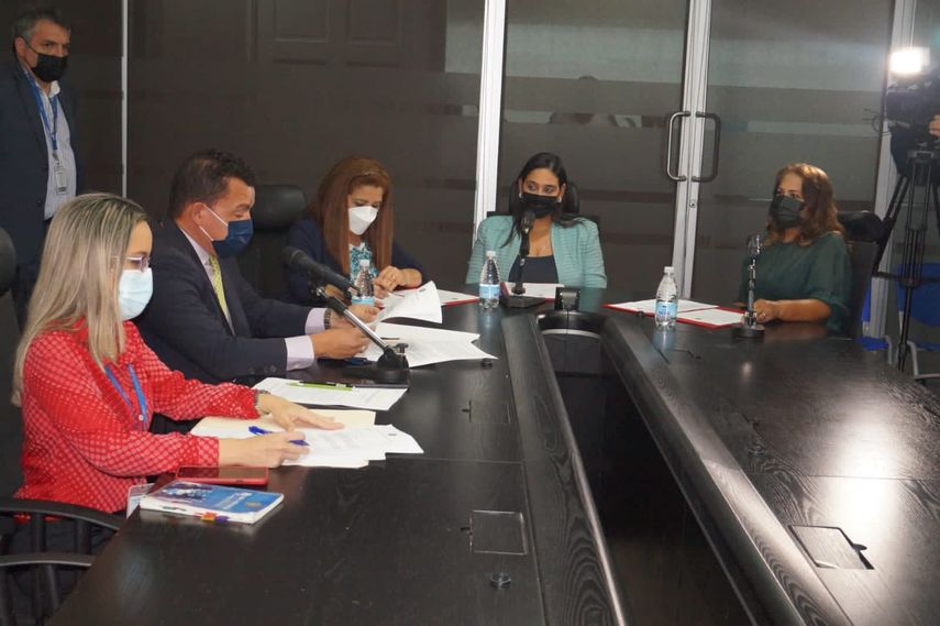 La Subcomisión  de la Mujer