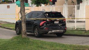 Celayda Castillo Celayda Castillo