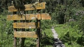 Conozca la finca agroturística Bajo Mono Camping Site en Boquete