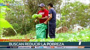 Huertos familiares ayudan a reducir la pobreza en la comarca Ngäbe Buglé