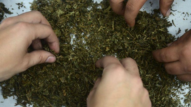 Un chef estadounidense inventa la gastronomía del cannabis