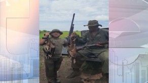 Investigan cacería de patos güichichi en Chiriquí Investigan cacería de patos güichichi en Chiriquí