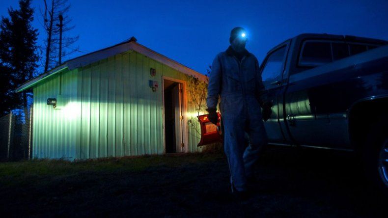 Tormenta deja a 20.000 sin luz 1 semana en estado Washington