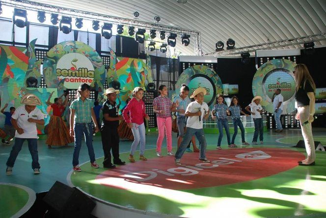 Semilla: ensayo 3era cantadera
