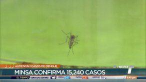 Panamá contabiliza más de 15 mil casos de dengue y 16 defunciones