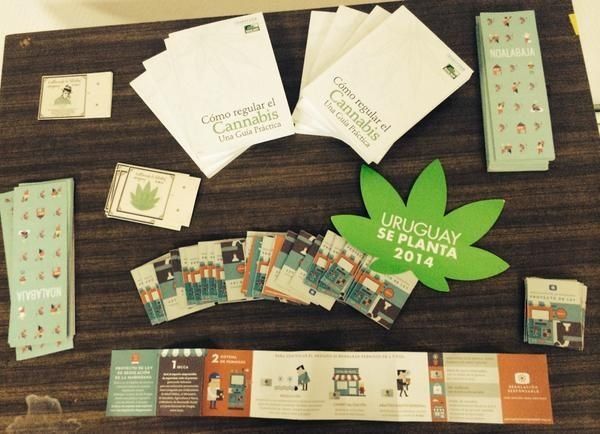 Presentan manual sobre cómo se puede plantar y consumir marihuana en Uruguay
