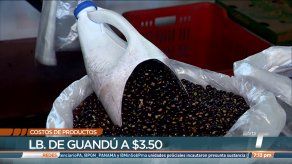 Productos mantienen precios accesibles en Merca Panamá