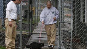 Programa de adopción de gatos da nuevas esperanzas a reclusos