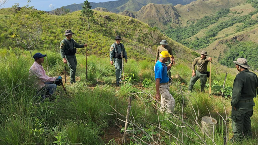 MiAmbiente prohíbe el uso de plásticos y poliestireno en áreas protegidas de Panamá. MiAmbiente prohíbe el uso de plásticos y poliestireno en áreas protegidas de Panamá.
