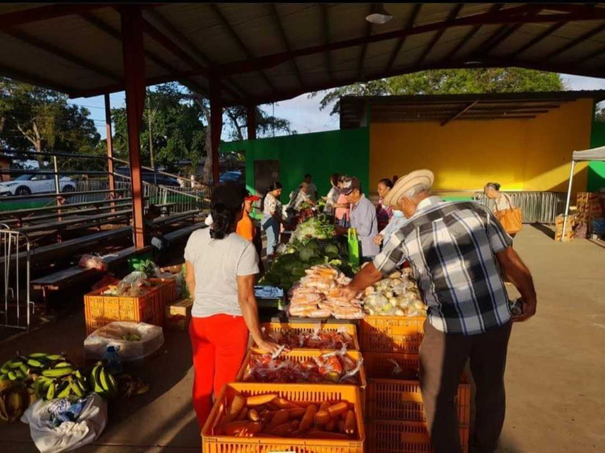 ¡Hoy Agroferia en Chepo! Vea ¿dónde y a qué hora?