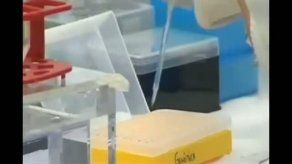 DNA-Prokids logra evitar más de 250 adopciones ilegales