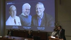 Nobel de medicina para tres descubridores del virus de la hepatitis C