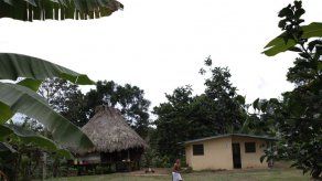 Aborígenes panameños defienden su gestión pionera en materia forestal