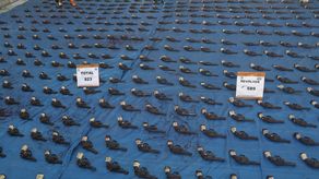 XXVIII Ceremonia de Destrucción de Armas efectuada por los estamentos de seguridad. XXVIII Ceremonia de Destrucción de Armas efectuada por los estamentos de seguridad.