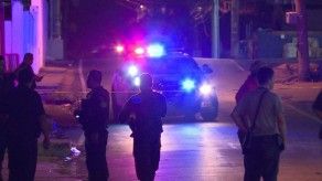Estudios sobre los factores que influyen en conductas criminales
