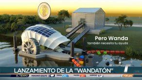 Marea Verde lanza campaña para construir centro interactivo en Juan Díaz