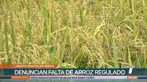 Productores de arroz aseguran que la distribución de este rubro está garantizada