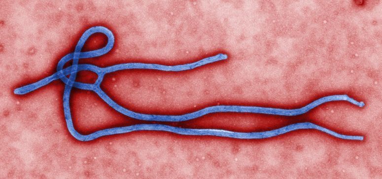 El balance del ébola asciende a 6.841 muertos y 18.464 contagios