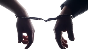 Detención provisional.&nbsp;