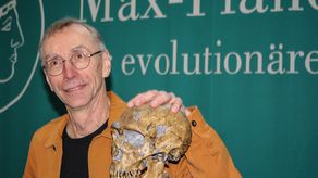 De 67 años e instalado en Alemania desde hace décadas, Pääbo descubrió en 2009 que un 2% de genes había pasado de estos homininos hoy desaparecidos al Homo sapiens.