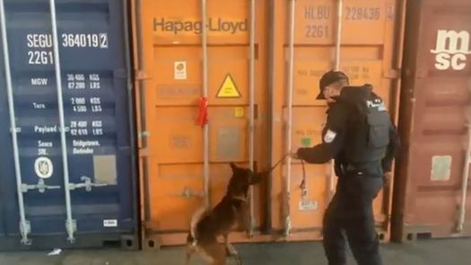En 2021 Ecuador confiscó el récord anual de 210 toneladas de drogas, en su mayoría cocaína.