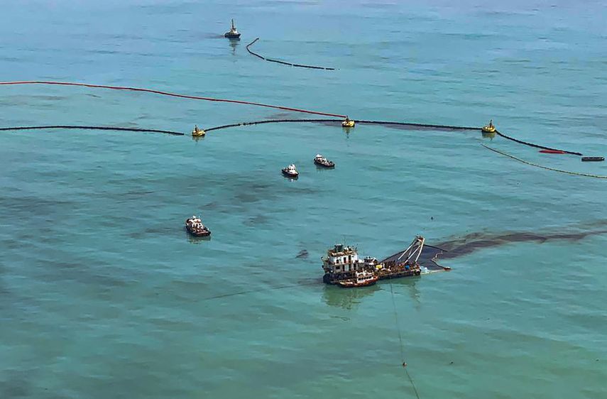 El petróleo vertido ha matado a una cantidad indeterminada de peces y aves marinas
