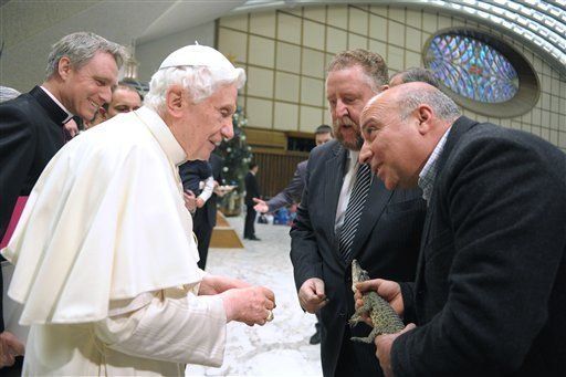 Papa recibe a raro visitante en audiencia general: un cocodrilo