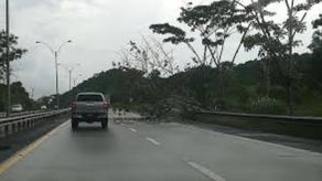 Desde el 15 de septiembre el IDAAN instalará tuberías en la Vía Centenario